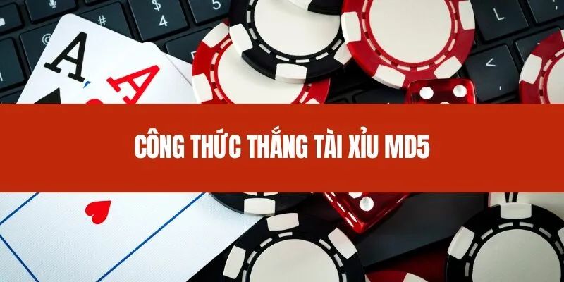 Các chiến thuật được ưa chuộng trong tài xỉu md5
