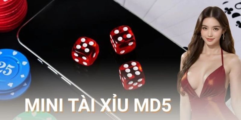 Những tính năng nổi bật khiến tài xỉu md5 được ưa chuộng