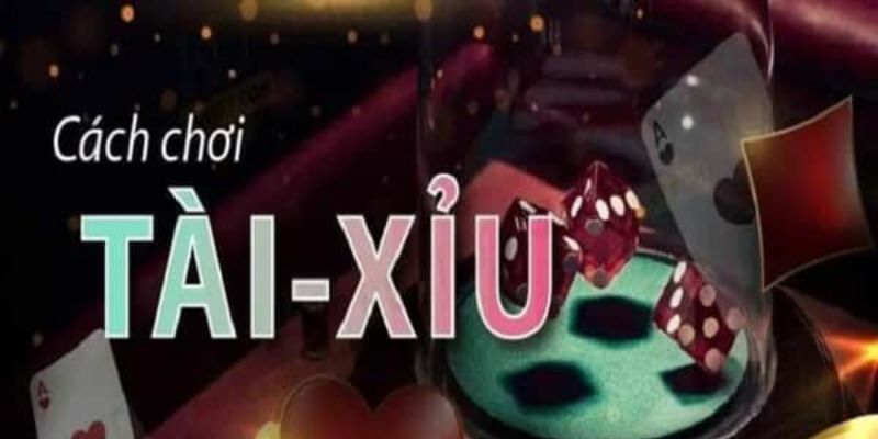 Cách chơi tài xỉu online Cách chơi tài xỉu online chuẩn xác và dễ hiểu