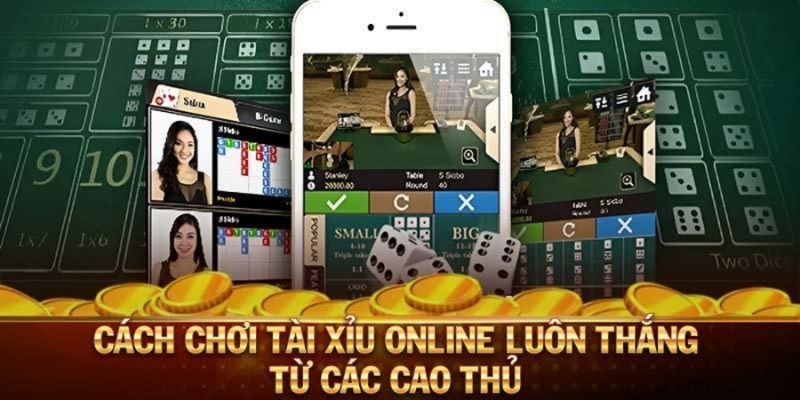 Cách chơi tài xỉu online Chiến thuật trong cách chơi tài xỉu online giúp nâng cao tỷ lệ thắng