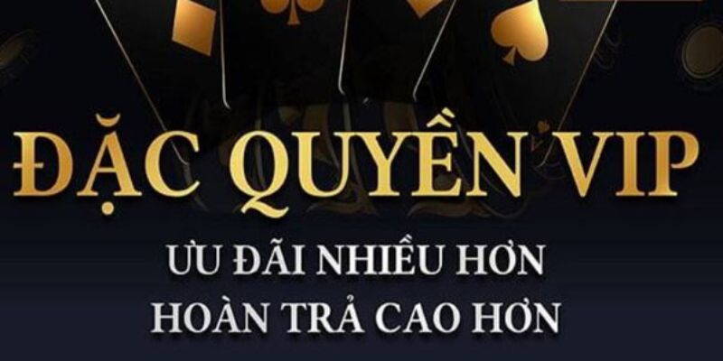 Thưởng VIP Vì sao Thưởng VIP là yếu tố then chốt trong thế giới Tài Xỉu Online?